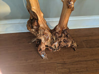 Mountain Laurel root ball table